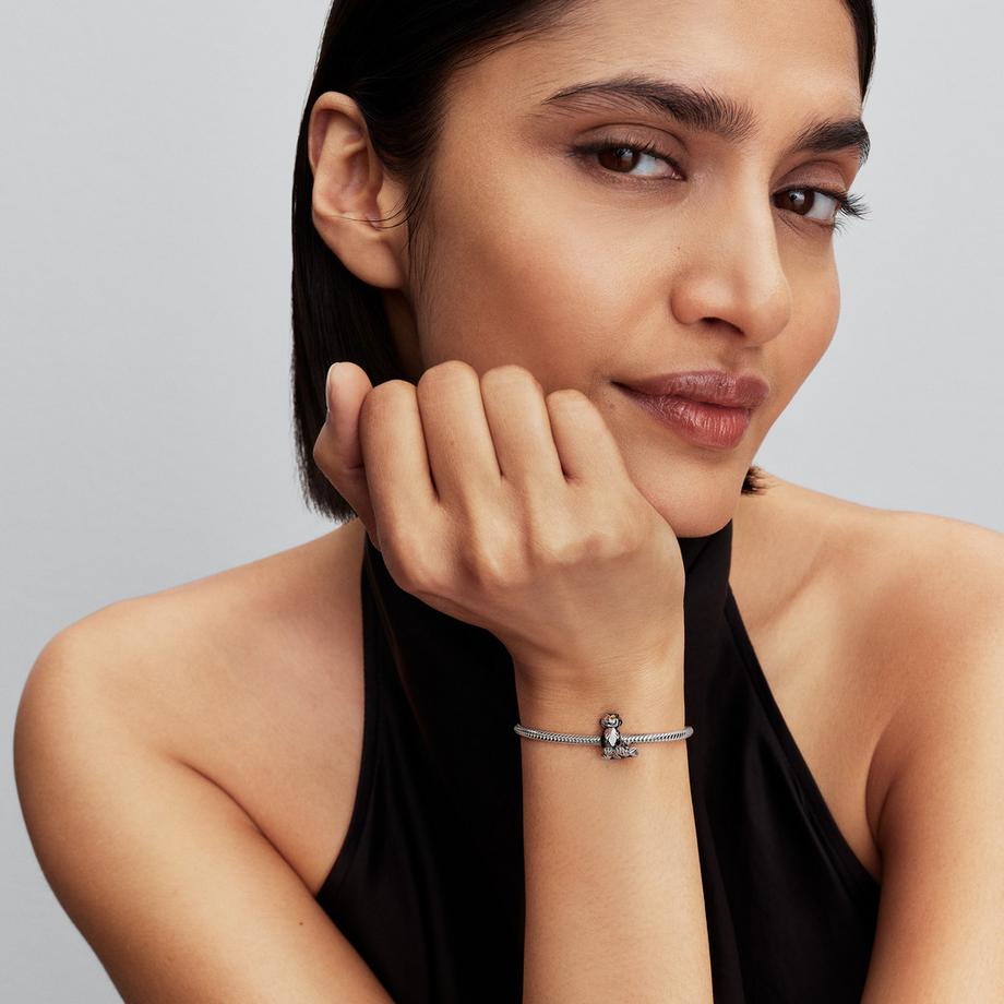 PANDORA Pandora Collabs Charm 