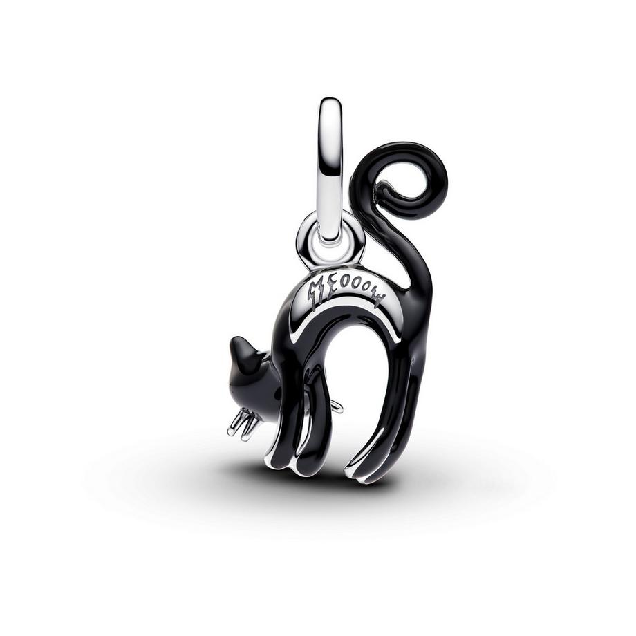 PANDORA Pandora Moments Charm 
