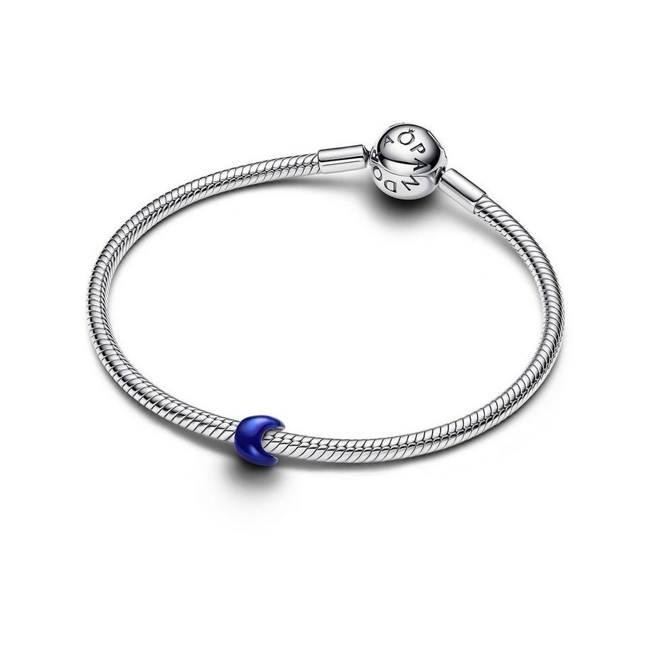 PANDORA Pandora Moments Charm 