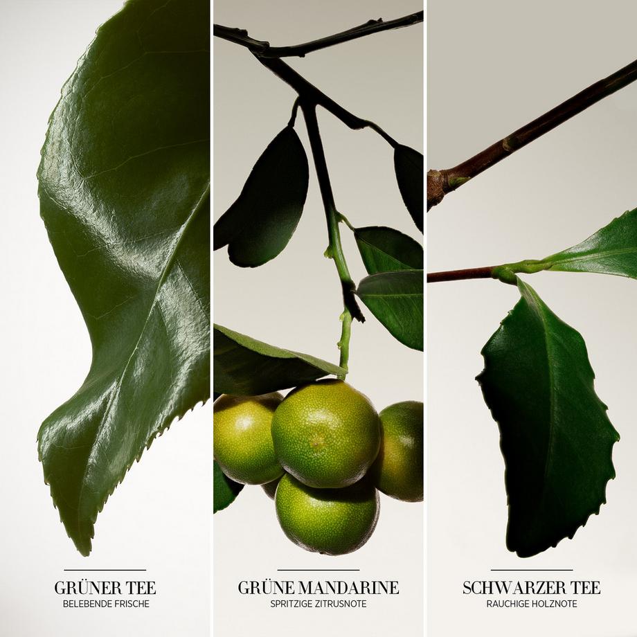 ARMANI Privé Thé Yulong Eau de Parfum  