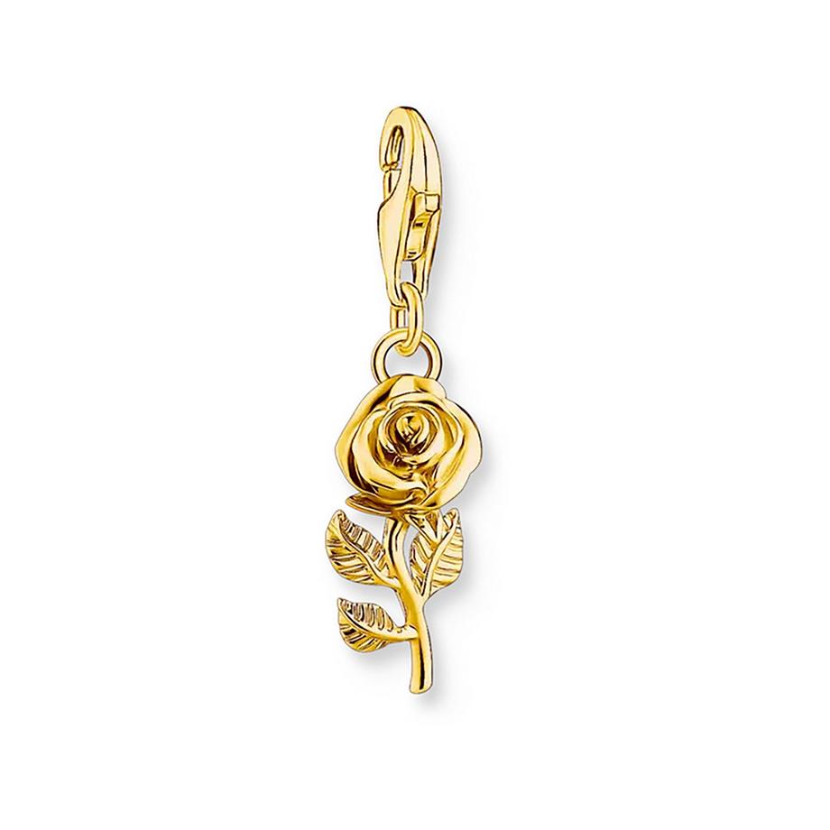 Charm