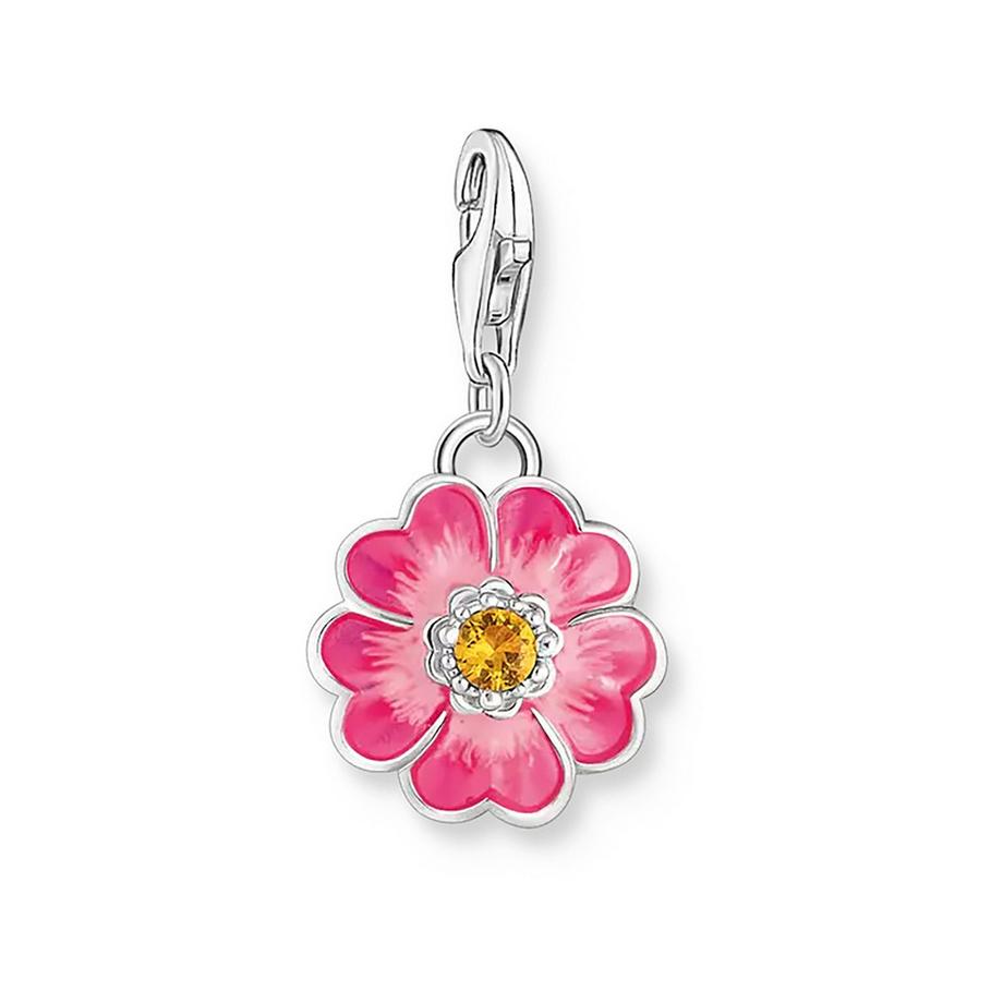 Charm
