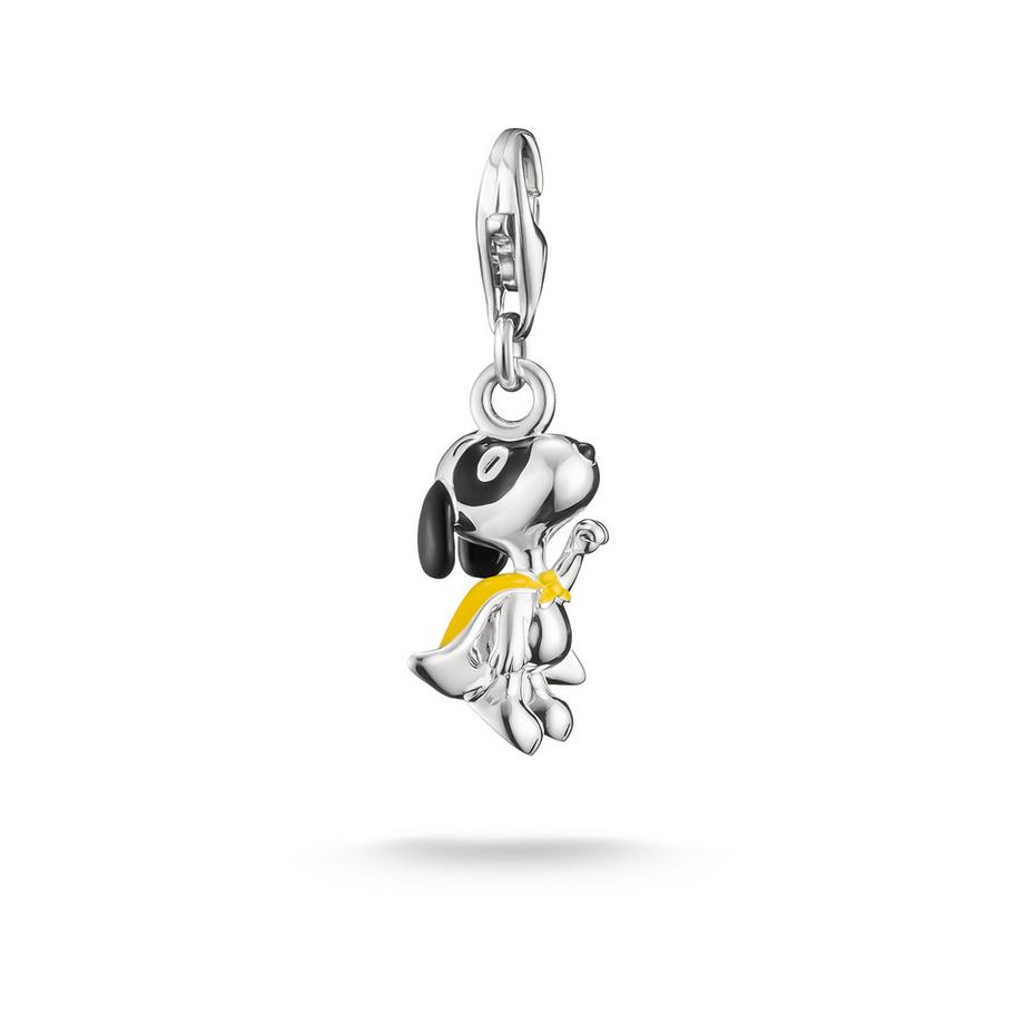 Charm