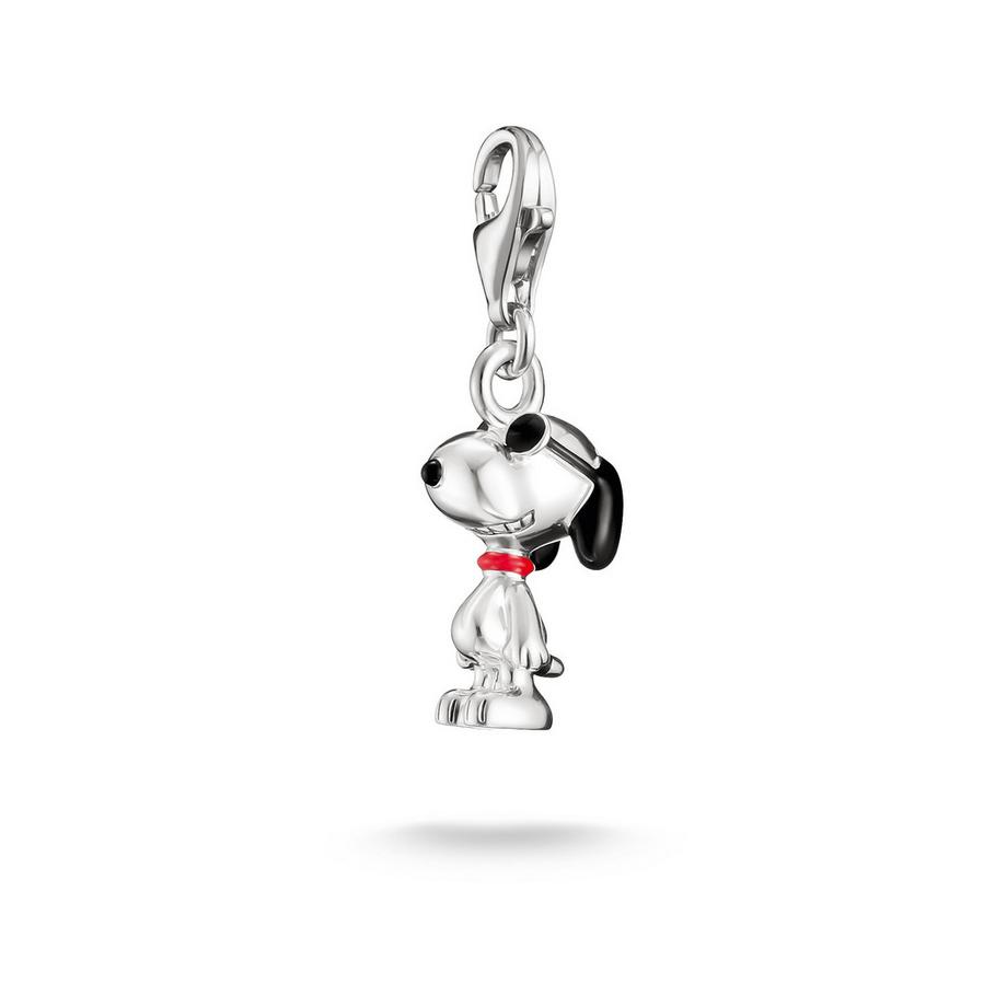 Charm