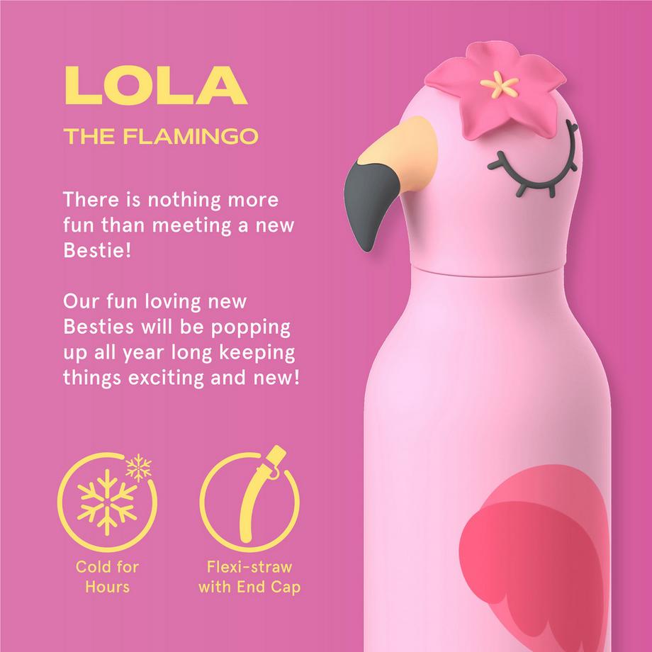Asobu Isolierflasche Bestie Bottle Flamingo 