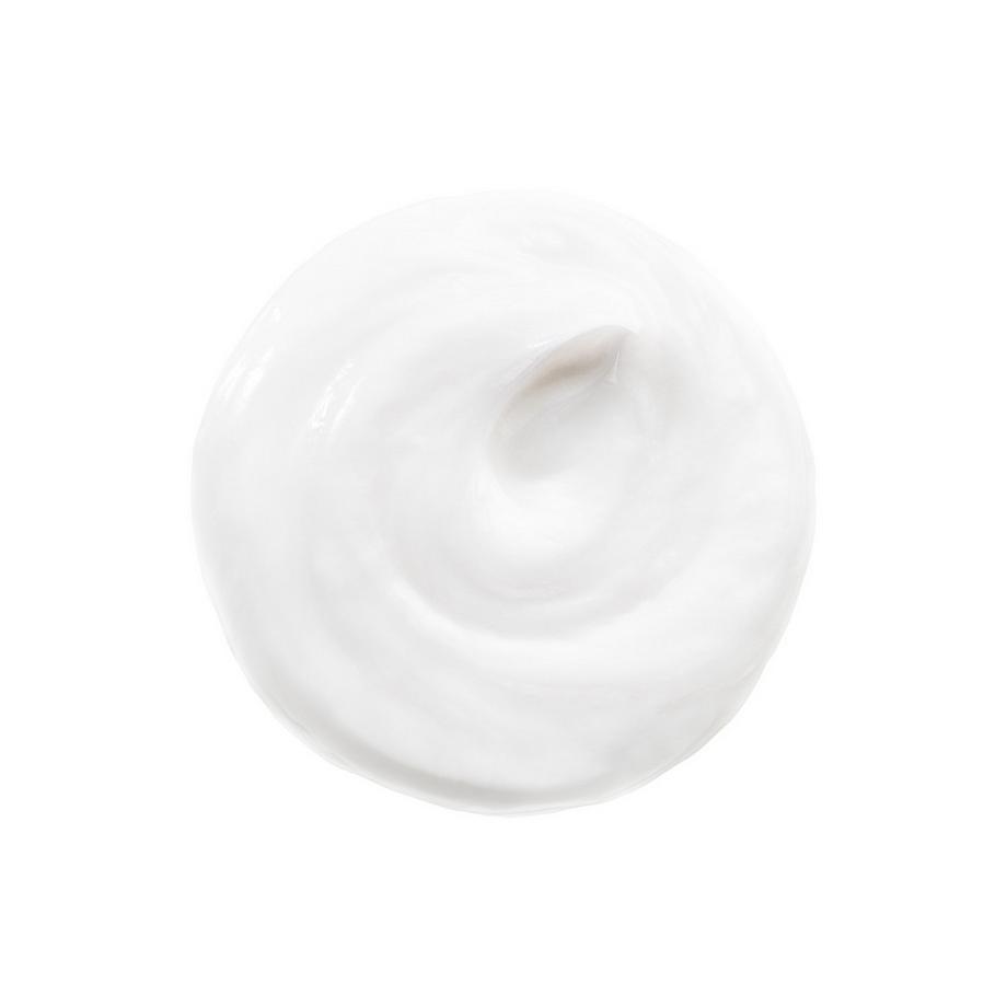 SHISEIDO  Prepare and Defend Deep Cleansing Foam 