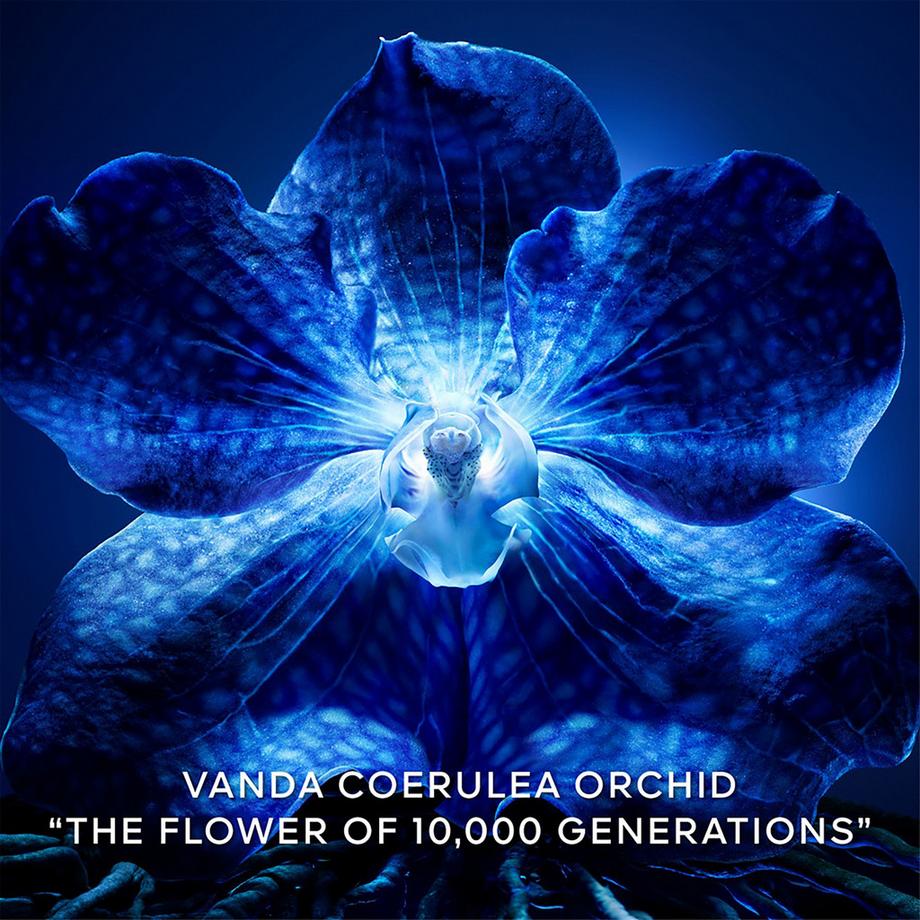 Guerlain  Orchidée Impériale Le Concentré de Longévité 