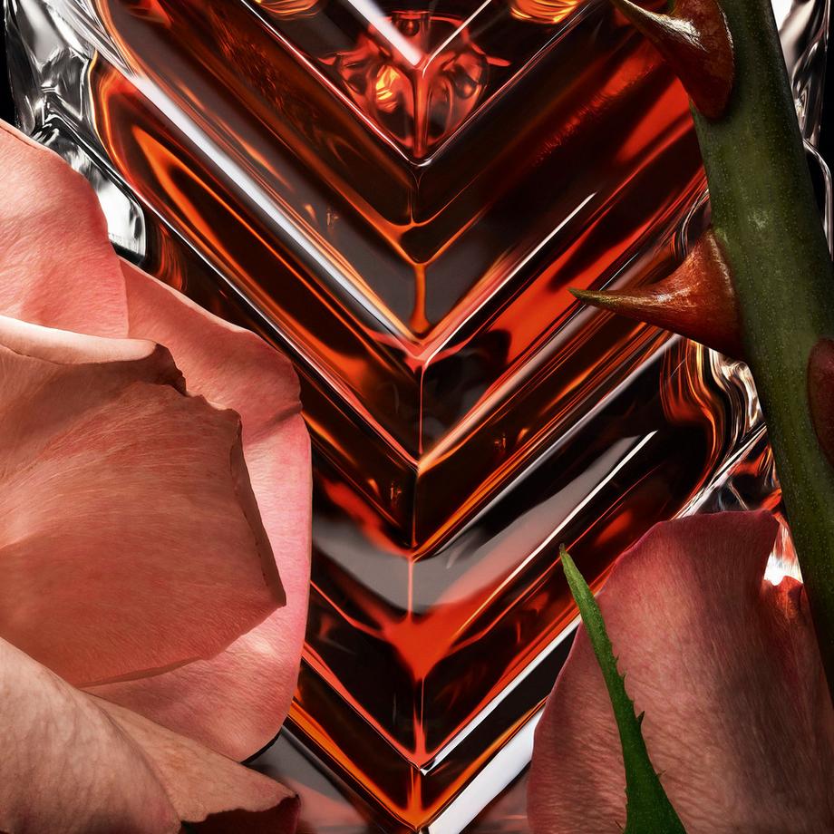 YSL   
