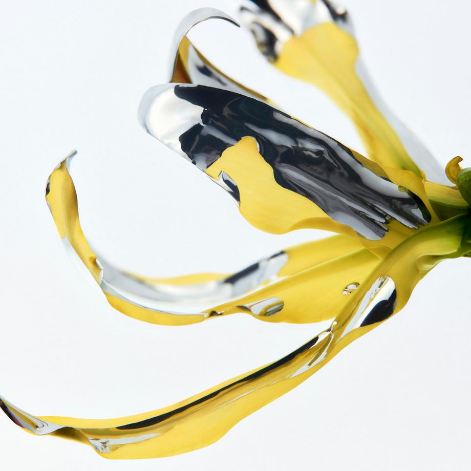 CHANEL ÉCLAT PREMIER BRIGHT 3-IN-1 OIL  ⁠ DREIPHASIGES ÖL FÜR LEUCHTKRAFT, EBENMÄSSIGKEIT UND SCHUTZ   