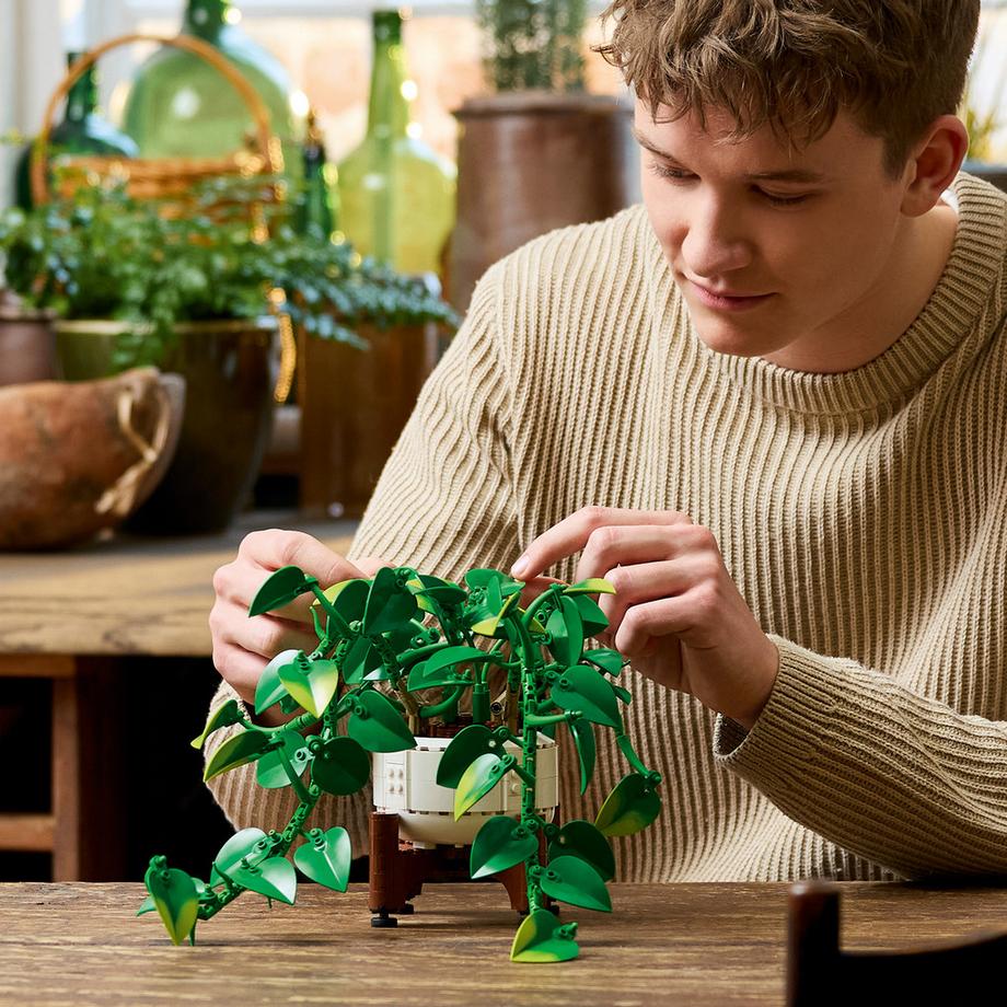 LEGO®  11512 Hängende Efeutute 