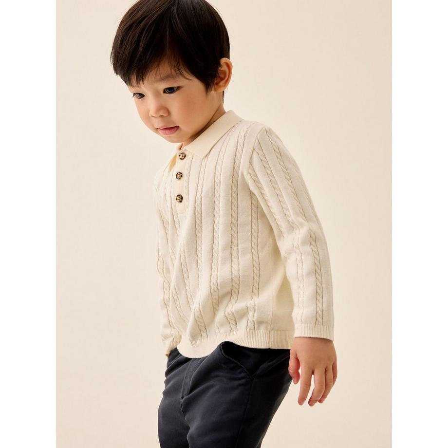 Next  Polo 
