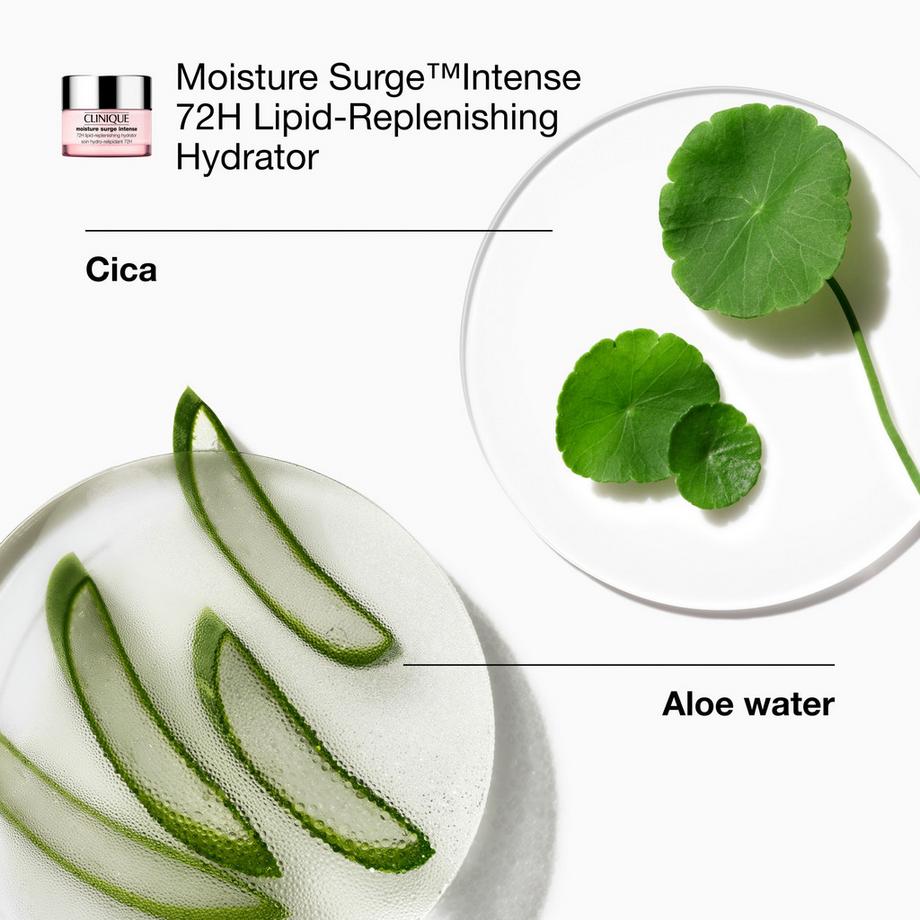 CLINIQUE  All-Over Hydration 