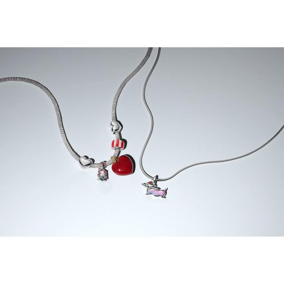 PANDORA Pandora Moments Charm 