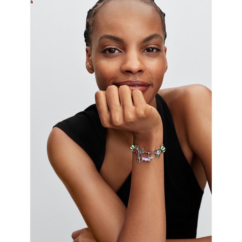 PANDORA Pandora Moments Charm 