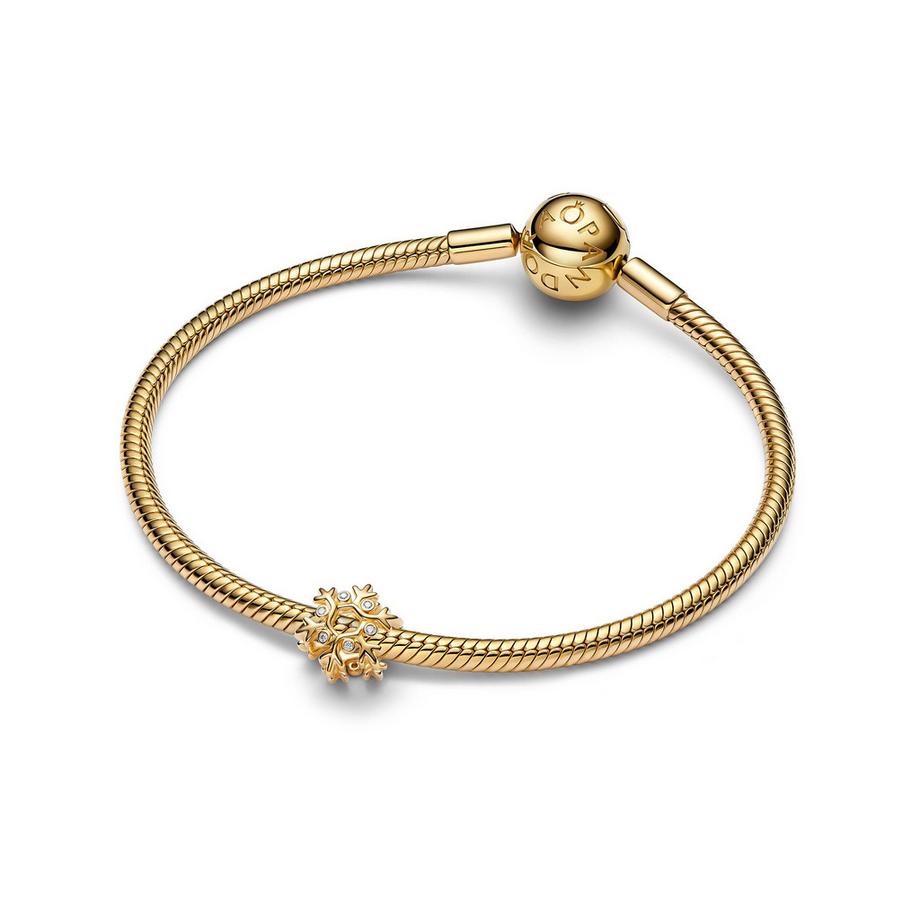PANDORA Pandora Moments Charm 