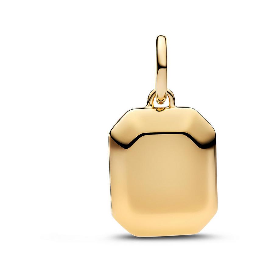 PANDORA Pandora Moments Charm 