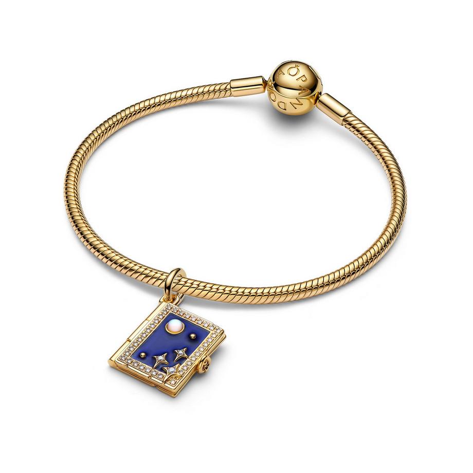 PANDORA Pandora Moments Charm 