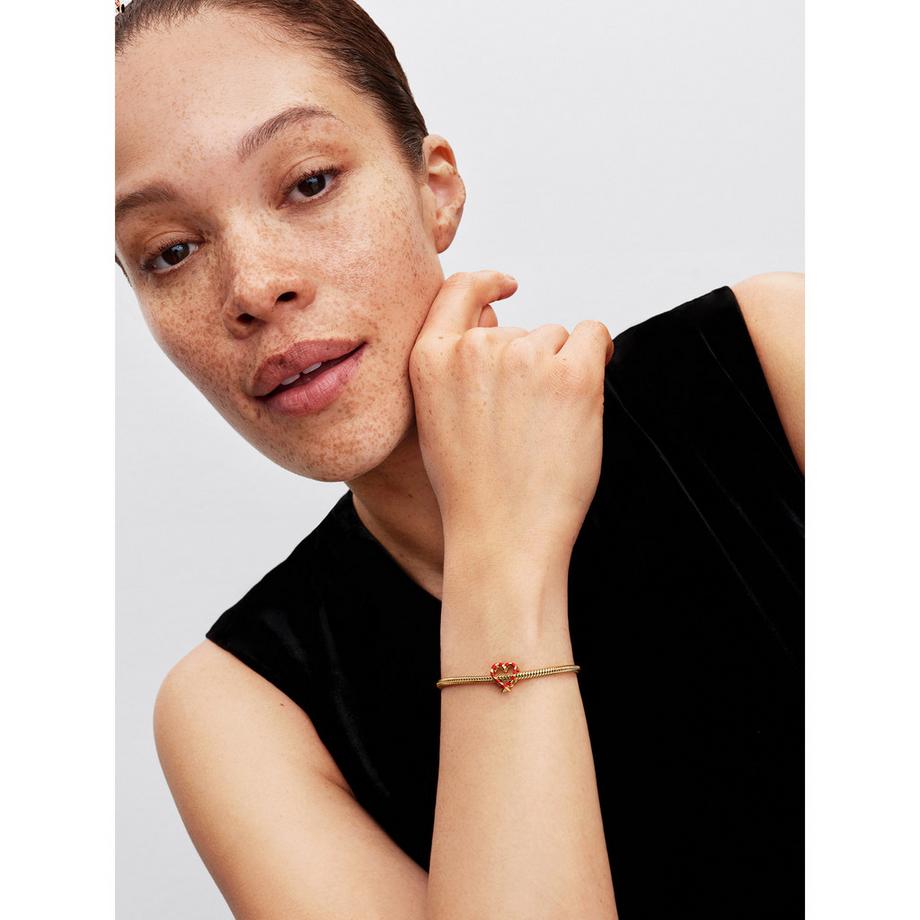 PANDORA Pandora Moments Charm 