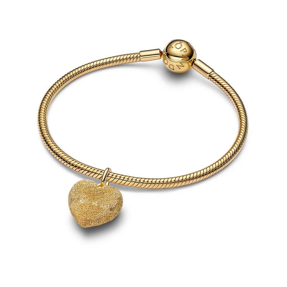 PANDORA Pandora Moments Charm 