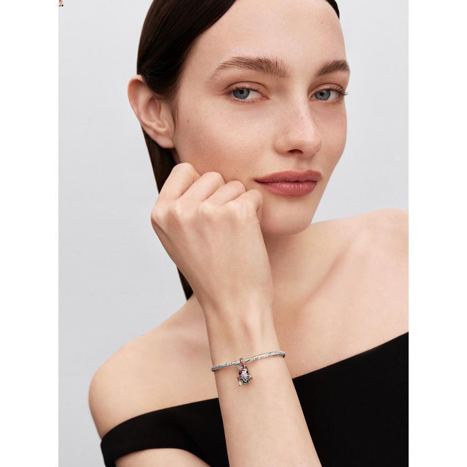 PANDORA Pandora Moments Charm 