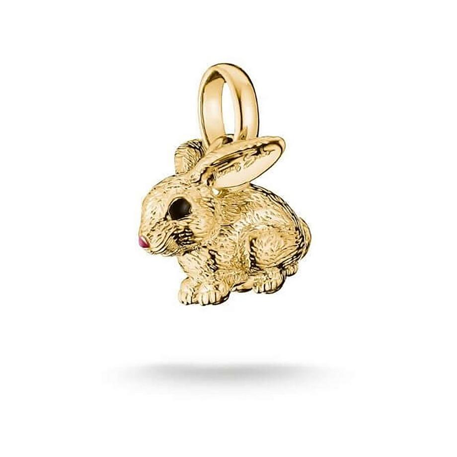 Charm