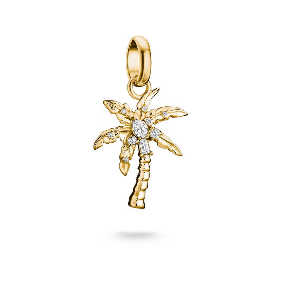 Charm