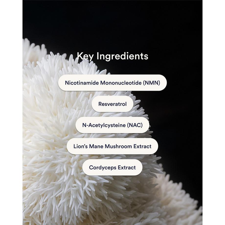 Kind Patches  Patchs NAD+ 