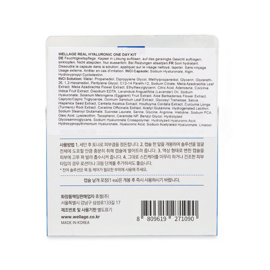 Wellage  Real Hyaluronic One Day Kit 