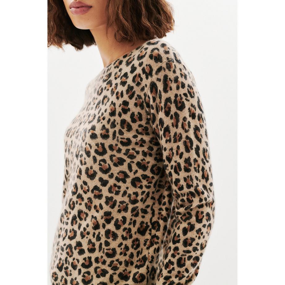 Caroll Pullover Imprimé Léopard  