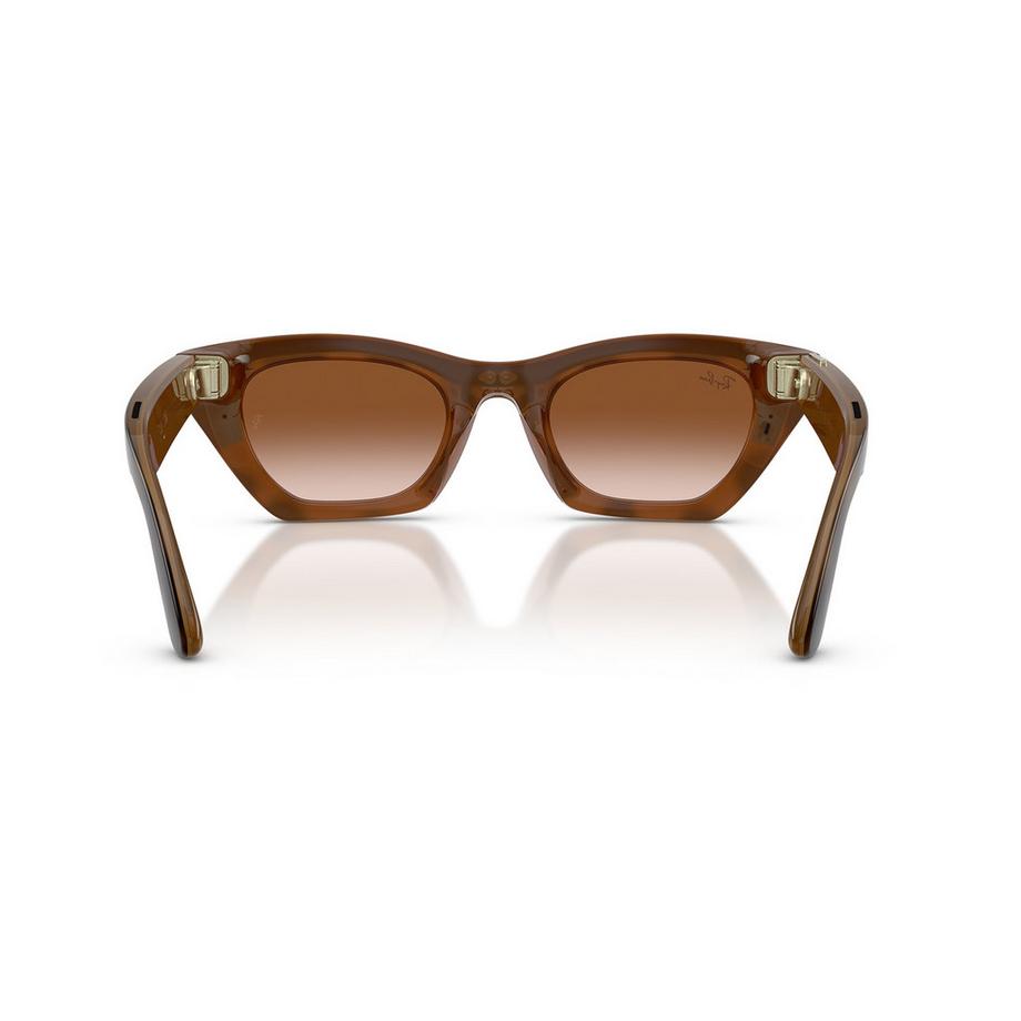 RAY-BAN WEARABLE Sonnenbrillen Lunettes de soleil Cat Eye motif écaille  