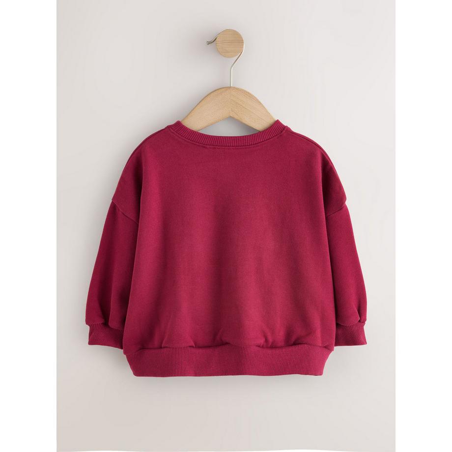 Next  Sweat-shirt 