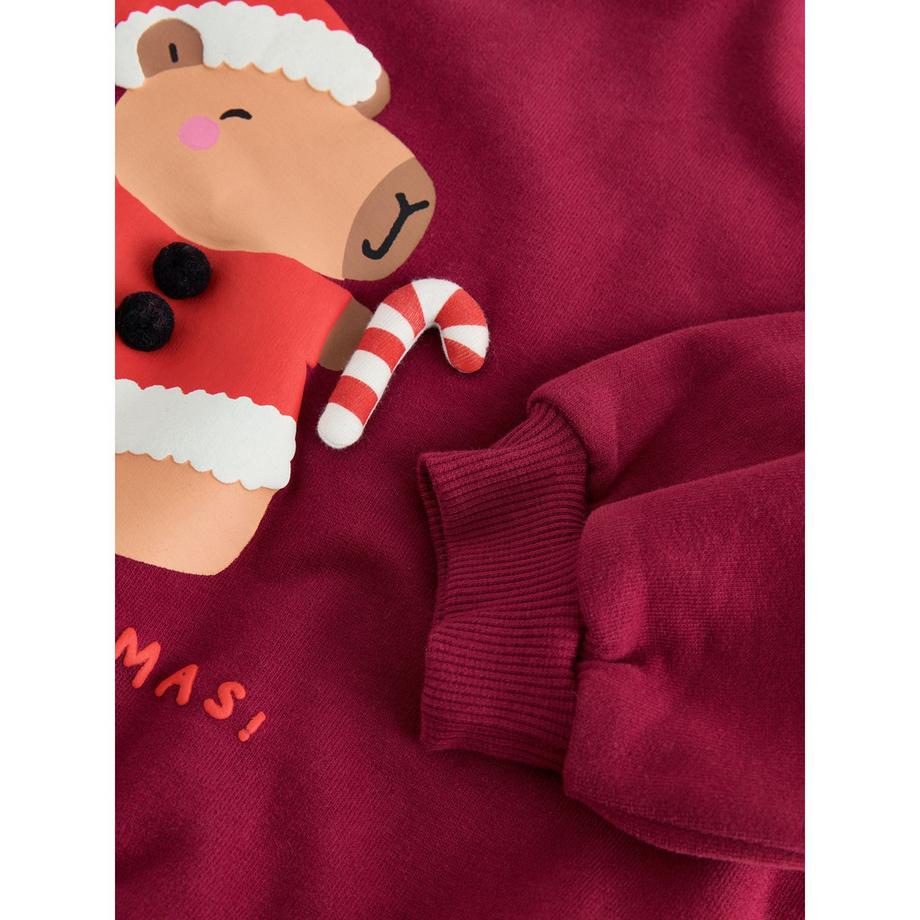 Next  Sweat-shirt 