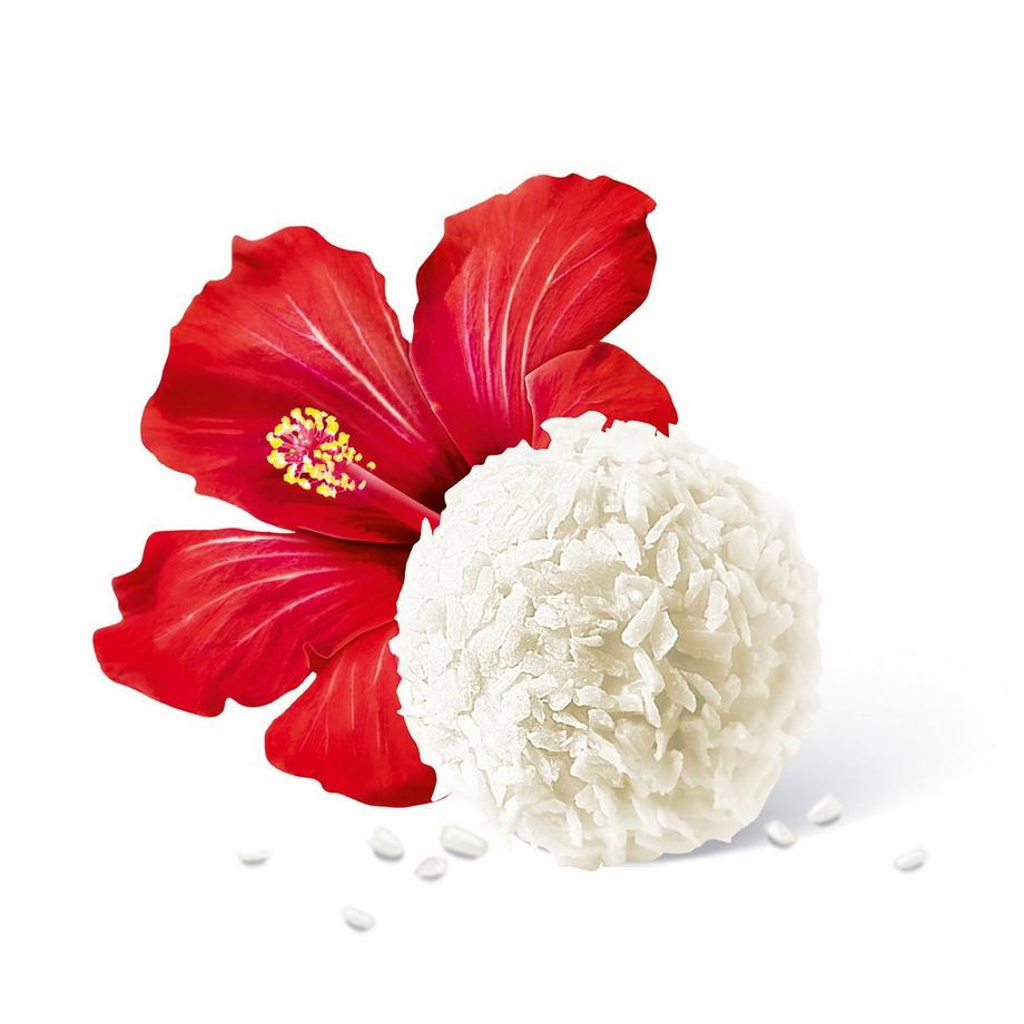 FERRERO PERMANENT / M-DAY Raffaello 