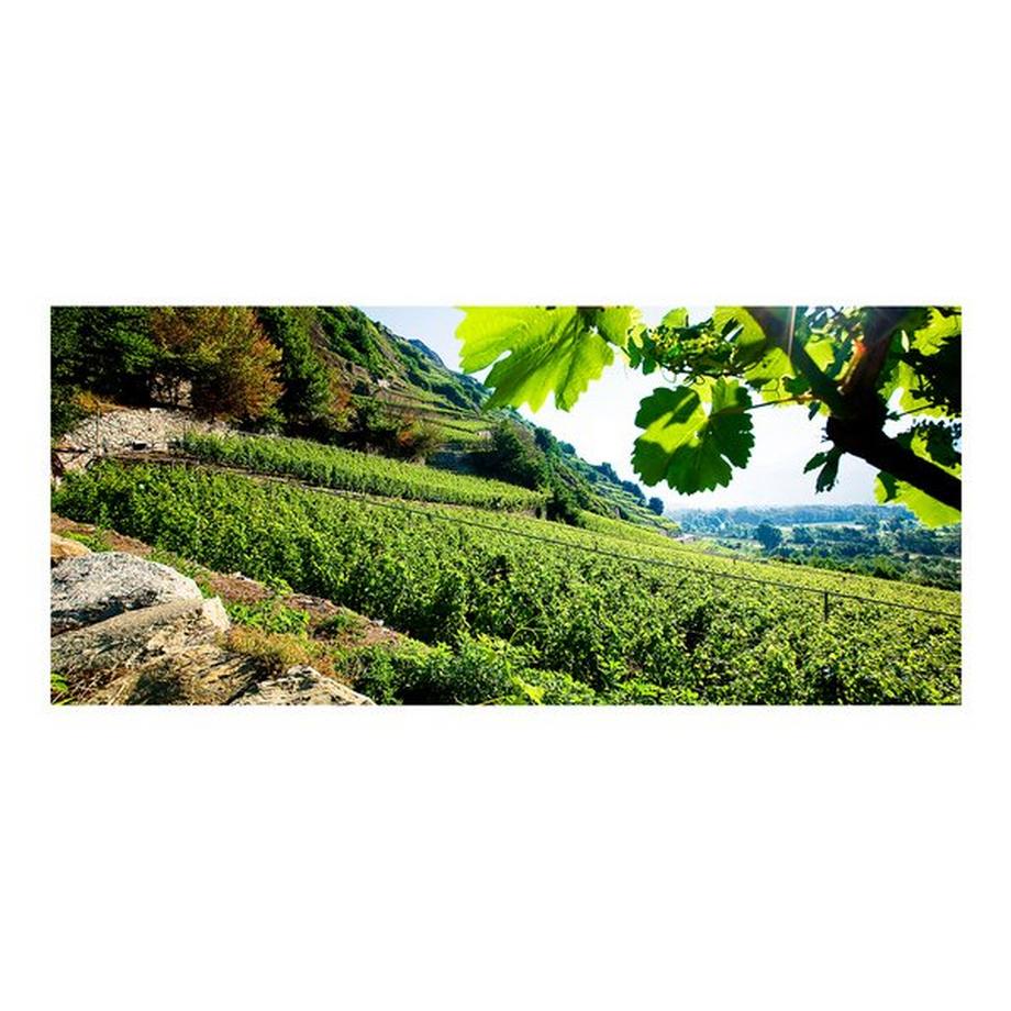 Chai du Baron 2020, Heida Léon, Valais AOC  