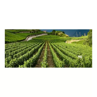 Chai du Baron 2021, Heida Léon, Valais AOC  