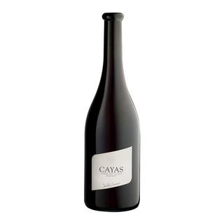 Jean-René Germanier 2021, Cayas Syrah, Valais AOC  