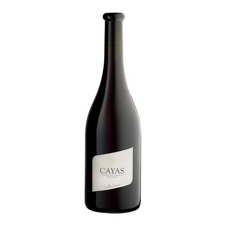 Jean-René Germanier 2021, Cayas Syrah, Valais AOC  