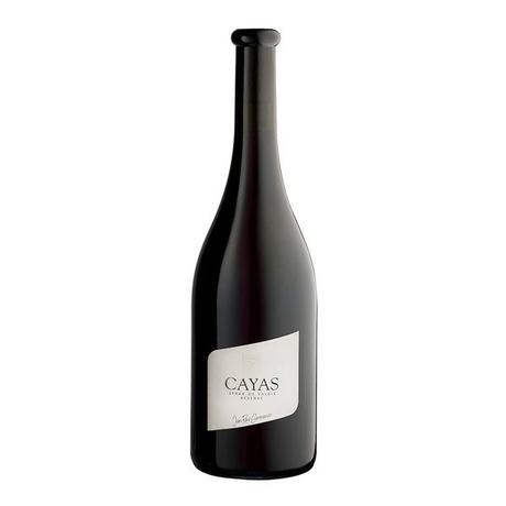 Jean-René Germanier 2020, Cayas Syrah, Valais AOC  