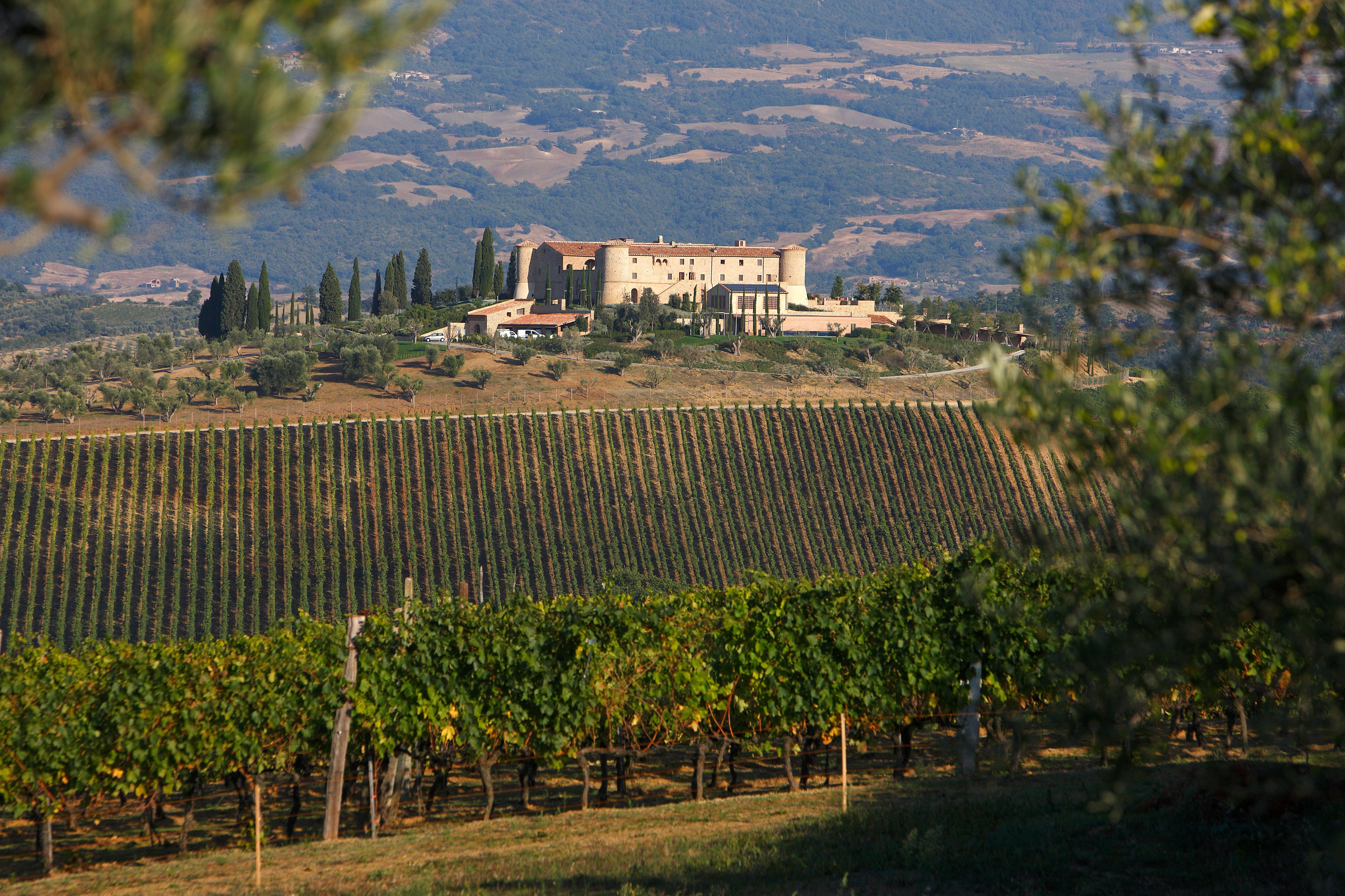 Castello ColleMassari 2020, Rosso Riserva, Montecucco DOP  