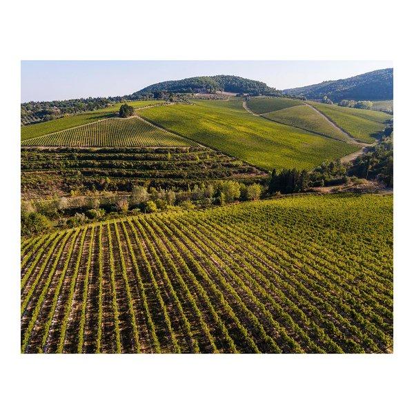 Tignanello 2021, Marchese Antinori, Chianti Classico DOCG  