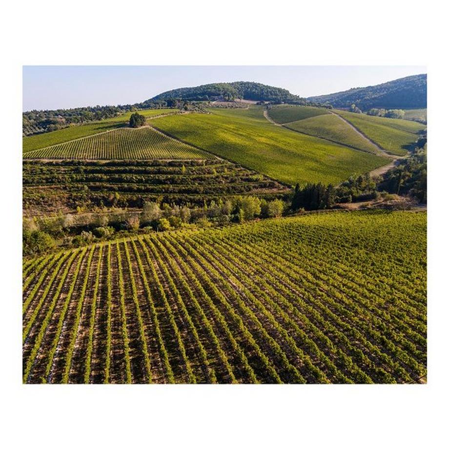 Tignanello 2021, Marchese Antinori, Chianti Classico DOCG  