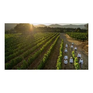 Tenuta Dell'Ornellaia 2022, Le Volte, Toscana IGT  