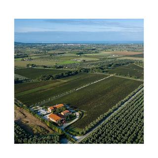 Campo Alla Sughera 2022, Adéo Rosso, Bolgheri DOP  