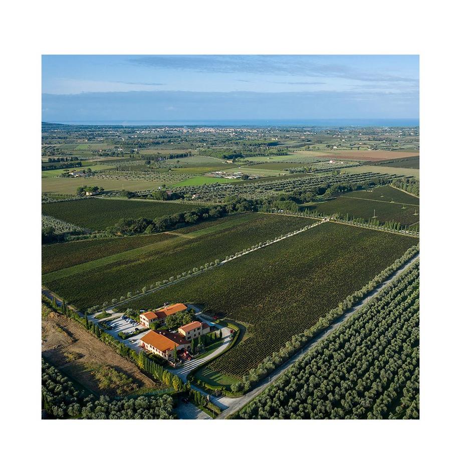 Campo Alla Sughera 2022, Adéo Rosso, Bolgheri DOP  
