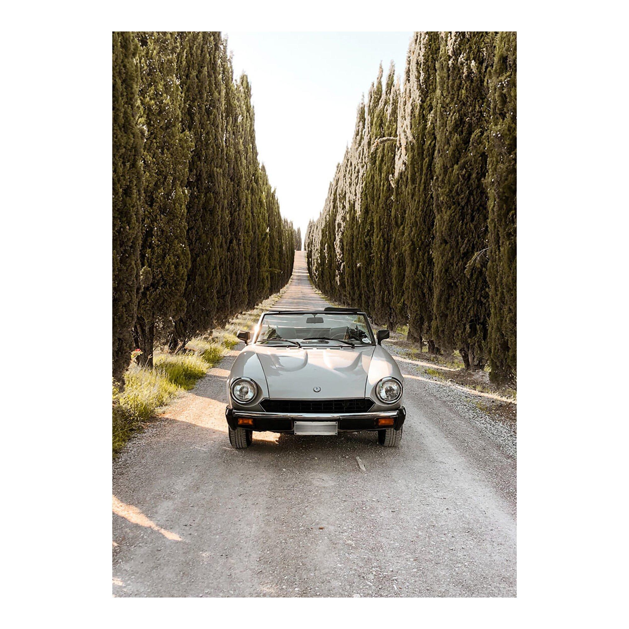 Sensi 2022, Sabbiato, Bolgheri DOP  