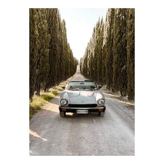 Sensi 2022, Sabbiato, Bolgheri DOP  