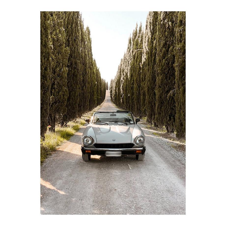 Sensi 2022, Sabbiato, Bolgheri DOP  