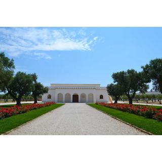 Masseria Altemura 2021, Sasseo Primitivo Magnum, Salento IGT  