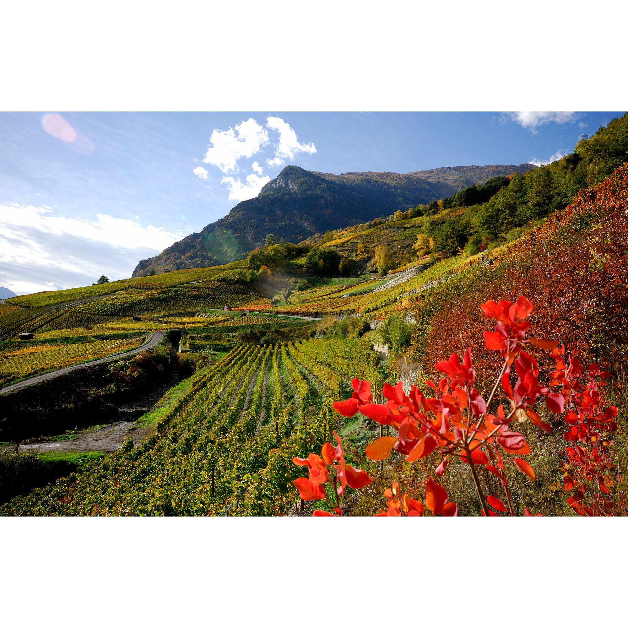 Domaine Rouvinez 2022, Heida La Leyraz, Valais AOC  