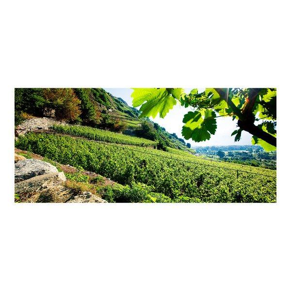 Chai du Baron 2024, Fendant Léon, Valais AOC  